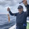 8月20日　白イカ便