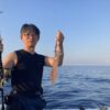8月24日　白イカ便