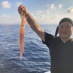 8月30日 白イカ便
