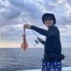 7月8日　白イカ便