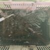 8月18日　白イカ便